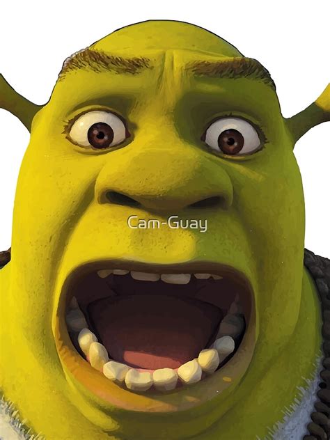 Surprised Shrek T Shirt By Cam Guay Redbubble