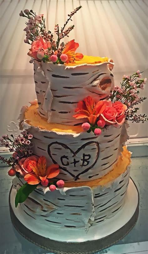 Birch Bark Wedding Cake Adrienne And Co Bakery Wedding Cakes Cake