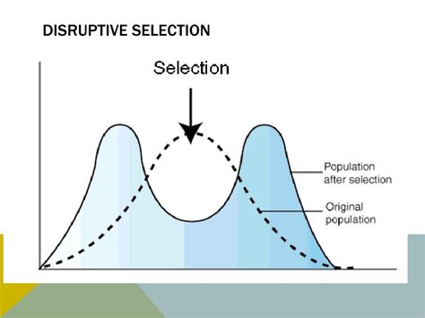 Ppt More Selection Powerpoint Presentation Free Download Id2122443