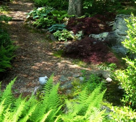 The arrowwood viburnum is native from new brunswick to minnesota, south to georgia. Native New England Plants in Our Woodland Garden | HubPages
