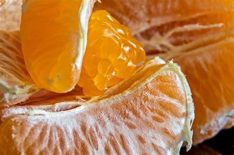 Anatomía de la mandarina on Behance