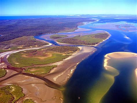 great sandy strait perfect for lovers of marine life fraser coast chronicle