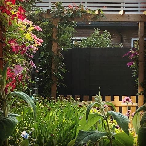 We did not find results for: Pergola, clematis, my garden | Tuin
