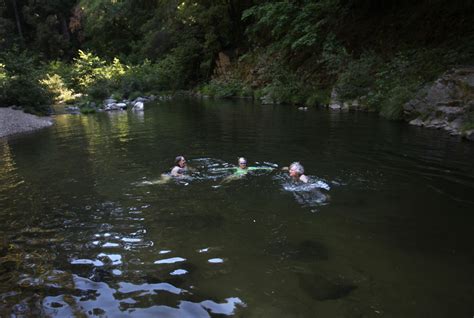 Directions from santa cruz, drive three miles up highway 9 (past the south entrance to henry cowell redwoods state park) until you see the sign for the north entrance to the park and a large dirt lot to your right with two green metal gates. Garden of Eden, San Lorenzo River, Santa Cruz County ...