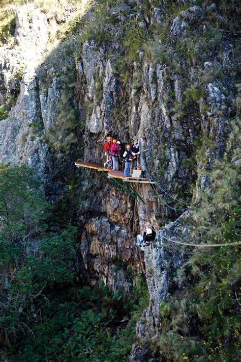 Welcome to osa canopy tour new cables up to 1.1km long!!! High on life - canopy tour near Cape Town | South Africa