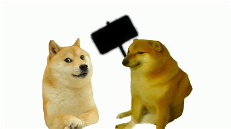 Cheems And Doge Youtube