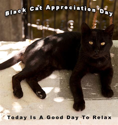 Local holidays are not listed. Free National Black Cat Appreciation Day Clipart ...