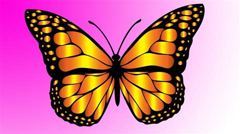 You might think that drawing is like touching your tongue to your nose: How to Draw -- Butterfly Easy- Step by Step - YouTube