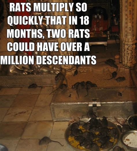 22 disturbing facts you might regret knowing facts disturbing fun facts