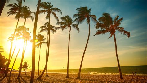 Tropical Beach Beautiful Sunset Palm Tree Sea People Dusk Wallpaper