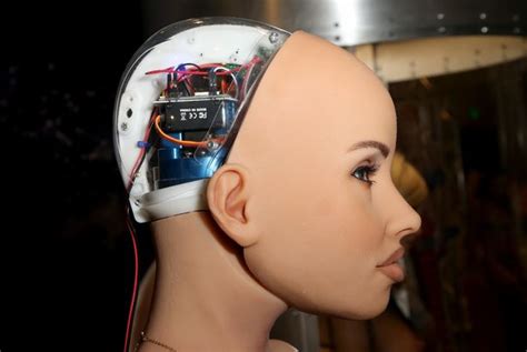 Sex Robots Installed With Ai Eyes That Can Follow Humans Around The Room Daily Star