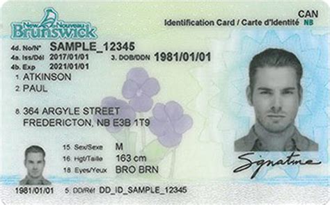 Canada Nb Driving License Template All Psd Templates Images And