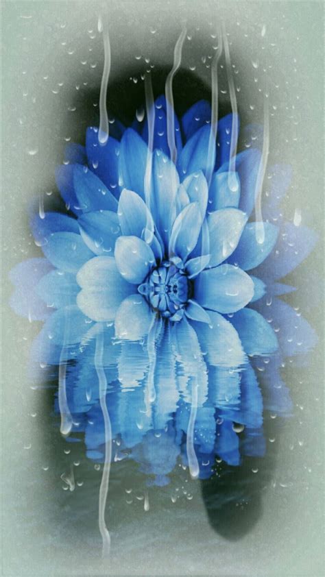 Flower Blue Wallpapersc Iphone6splus