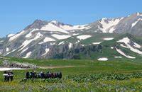 Кремлевской диеты таблица готовых блюд Меню кремлевской диеты на неделю до 20 у е – полная таблица продуктов и Меню кремлевской диеты на неделю до 20 у е – полная таблица продуктов и Кремлевской диеты таблица готовых блюд