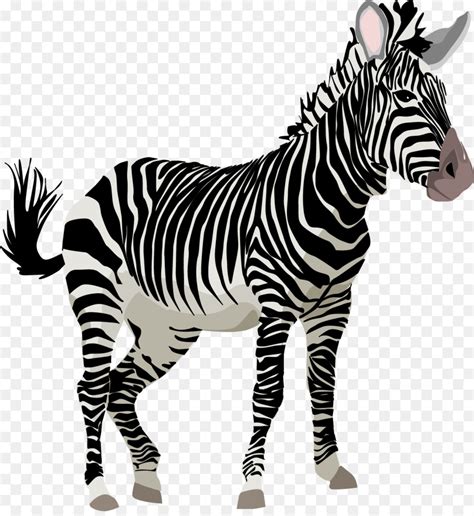 Check spelling or type a new query. Terkeren 30 Download Gambar Kartun Zebra - Miki Kartun