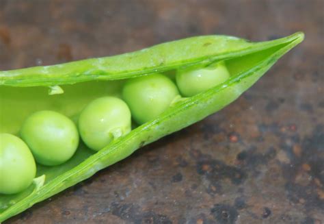 Resep bubur kacang hijau bahannya : Aneka Resep Masakan Nusantara: Tips Membuat Bubur Kacang ...