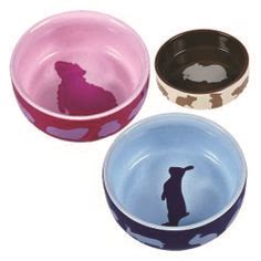 That means you'll need to have a variety of guinea pig feeders on hand, including guinea pig bowls and a hay rack for feeding fresh timothy hay. Guinea Pig Products