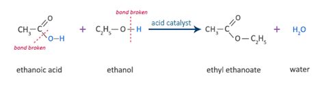 Carboxylic Acids Easy Exam Revision Notes For GSCE Chemistry