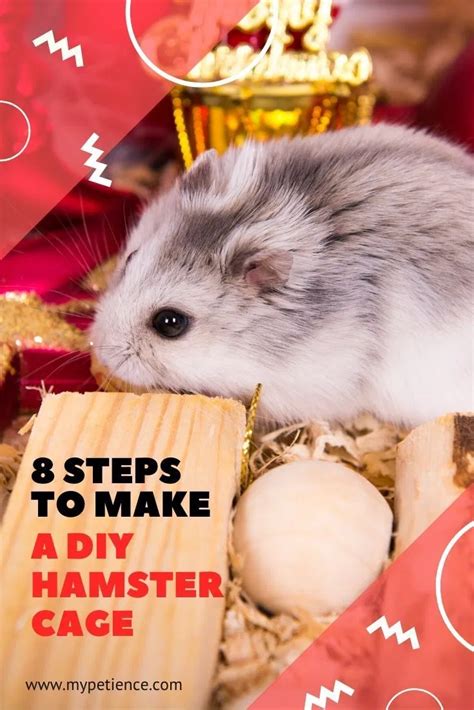 How To Make Your Own Diy Hamster Toys Super Naturale