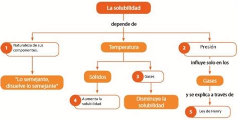 S04s2 Tarea Flor Cachi Mapa Conceptual De Solubilidad Mapa Mental