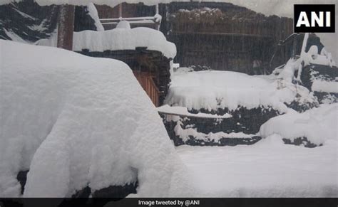 Can we expect a white christmas? Cold Wave Continues In Himachal; Kufri, Manali Get Fresh Snow