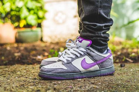 Nike Dunk Sb Low Purple Pigeon On Foot Sneaker Review Nike Dunks