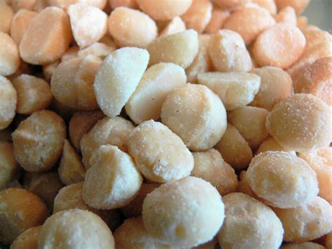 Natural Macadamia Nuts Ubicaciondepersonas Cdmx Gob Mx