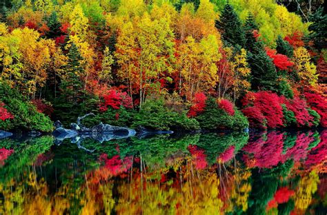 Hd Autumn Colors Lovely Reflection Mirror Lake High