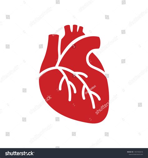 129869 Human Heart Silhouette Images Stock Photos And Vectors