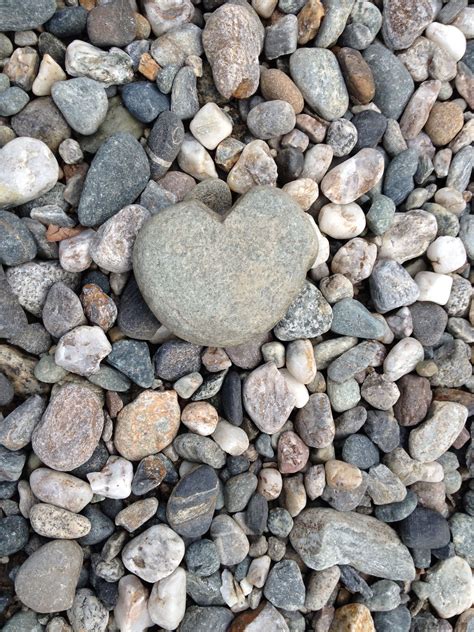 Tiny Heart Rock Tiny Heart Rivers Stepping Stones Rocks Outdoor