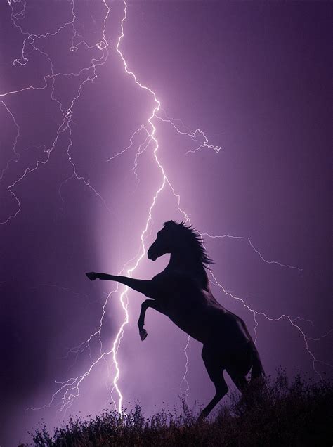 Rearing Horse And Lightning Jim Zuckerman Photography And Photo Tours