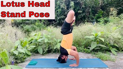 Lotus Head Stand Pose Advance Yoga Learn Advance Yoga With Guidance