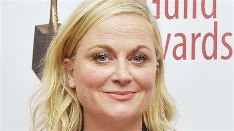 What Most People Dont Know About Amy Poehler