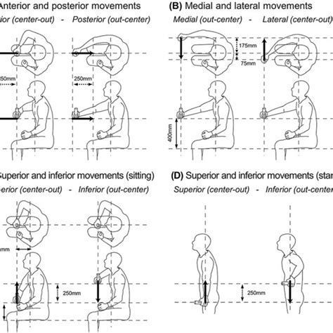 Upper Limb Movements Examined In This Study The Participants Moved
