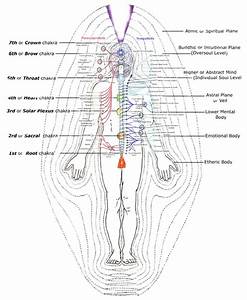 Chakras And Psychic Centers Are They The Same Energetic Body