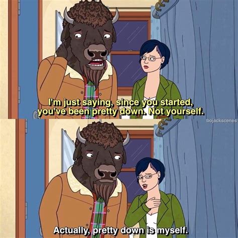 Bojack Horseman Meme Im Just Saying Since You Started Youve Been Pretty Down Not Yourself