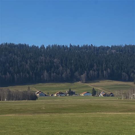 narin in switzerland on Twitter: "made my day https://t.co/7oNcm313gR
