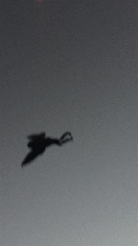 What Are The Mothman Prophecies