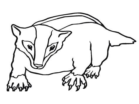 Search through 623,989 free printable colorings at getcolorings. Badger Coloring Page at GetColorings.com | Free printable ...