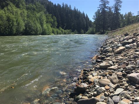 Тим файвелл, джесика хоббс, ричард лэкстон. Upper Yakima River Aquatic Habitat Restoration Project | KCT