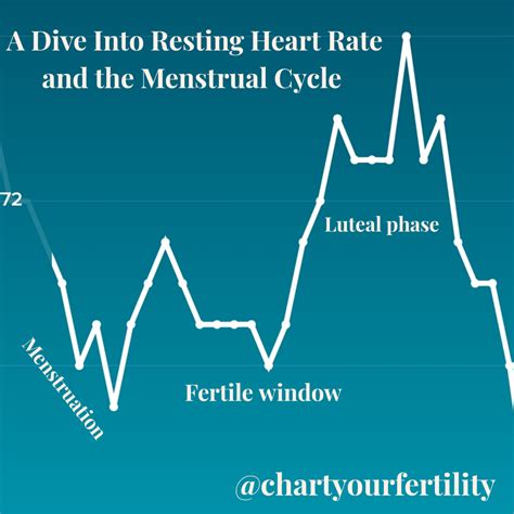 a dive into resting heart rate and the menstrual cycle leslie at chart your fertility