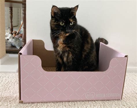 Hide And Scratch Combo Cat Lounger And Scratcher Box 2023 Review Conscious Cat