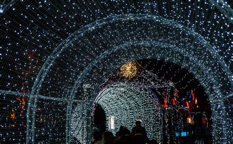 Guide 2022 Edmonton Christmas Light Up Festivals