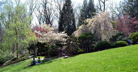 Washington Dc Blossoms In Springtime Pursuits With Enterprise