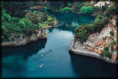 Waikato River Waikato North Island New Zealand River Kayaking