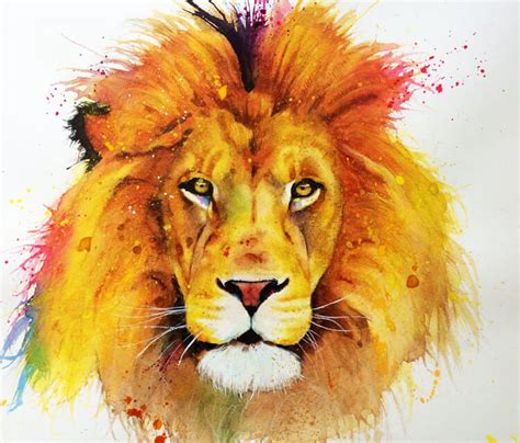 Lion Watercolor Painting By Jonathan Knight Art No 913
