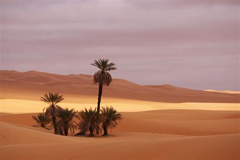 Beautiful Desert Photograph By Ivan Slosar