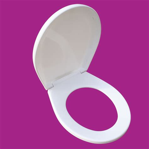 Toilet Seat Replacement White Molded Plastic Child Sized