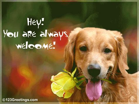 Always Welcome Free You Are Welcome Ecards Greeting Cards 123