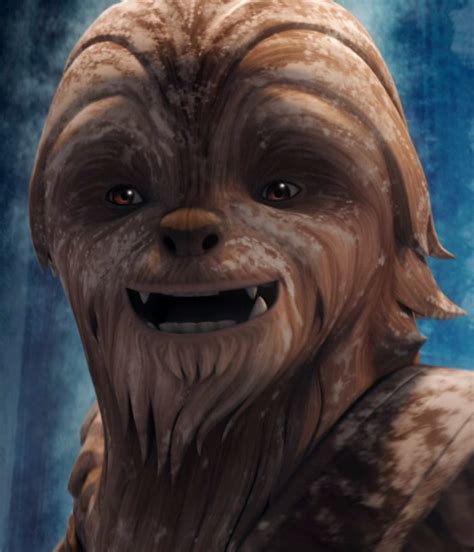 Gungi Wookiee Male Jedi Youngling Star Wars Species Star Wars